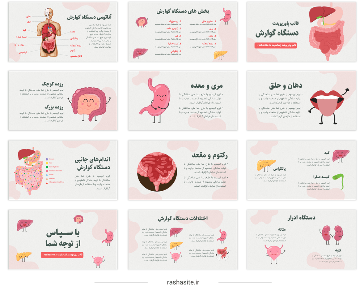 دانلود قالب پاورپوینت سیستم گوارش