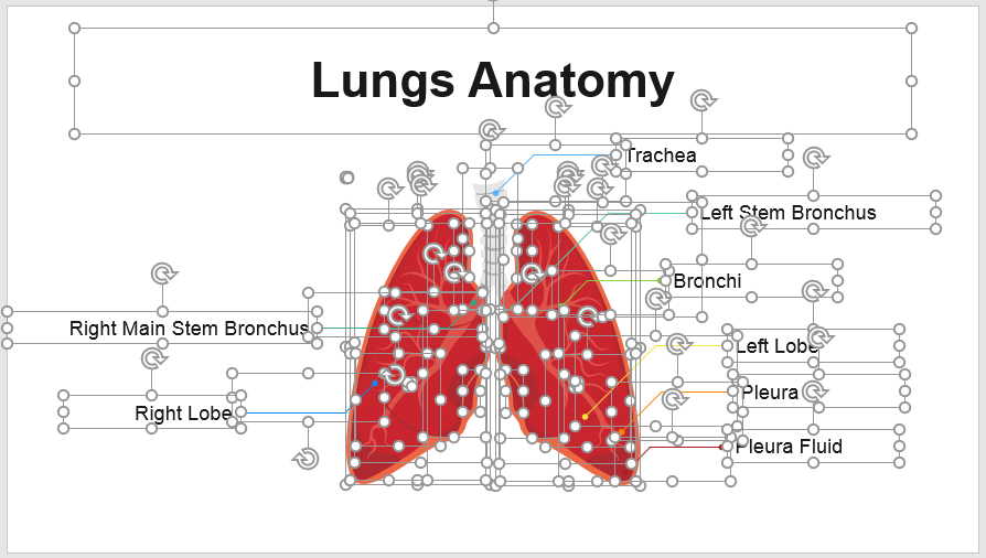 پاورپوینت آناتومی بدن انسان